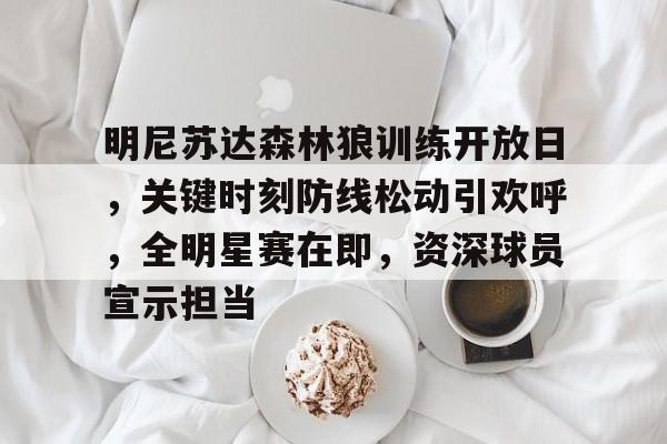 爱游戏体育下载-关于明尼苏达森林狼训练开放日，关键时刻防线松动引欢呼，全明星赛在即，资深球员宣示担当的信息