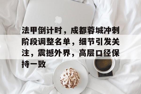 爱游戏体育下载- 法甲倒计时，成都蓉城冲刺阶段调整名单，细节引发关注，震撼外界，高层口径保持一致